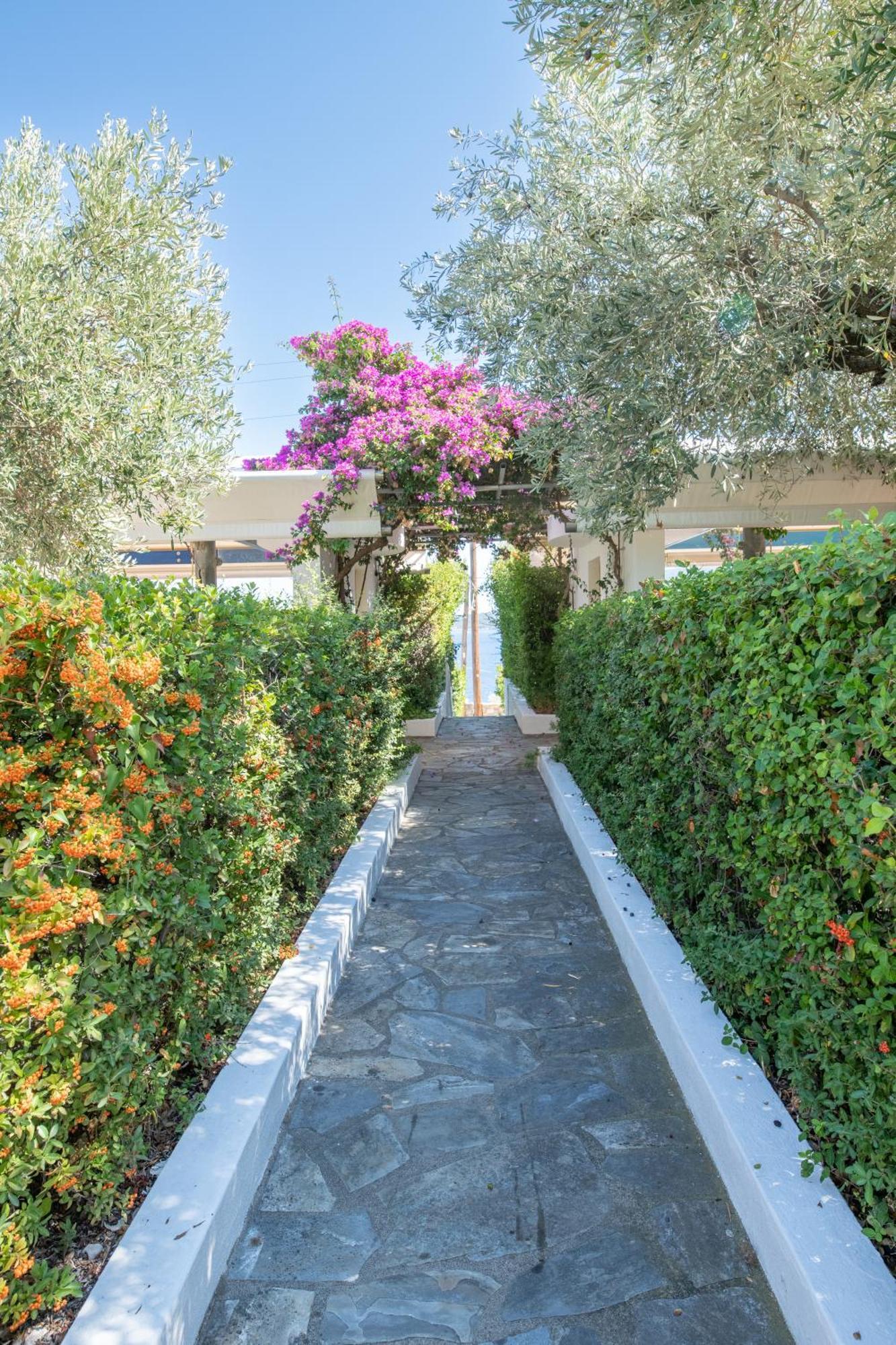 Elea Villas Steni Vala Alonissos Luaran gambar
